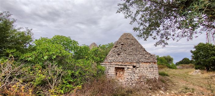 Image No.8-Propriété de 8 chambres à vendre à Cisternino