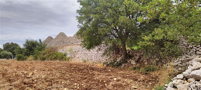 Image No.10-Propriété de 8 chambres à vendre à Cisternino