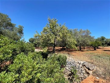 138557landseaviewcarovignoimg100000