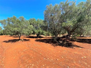 138557landseaviewcarovignoimg110000