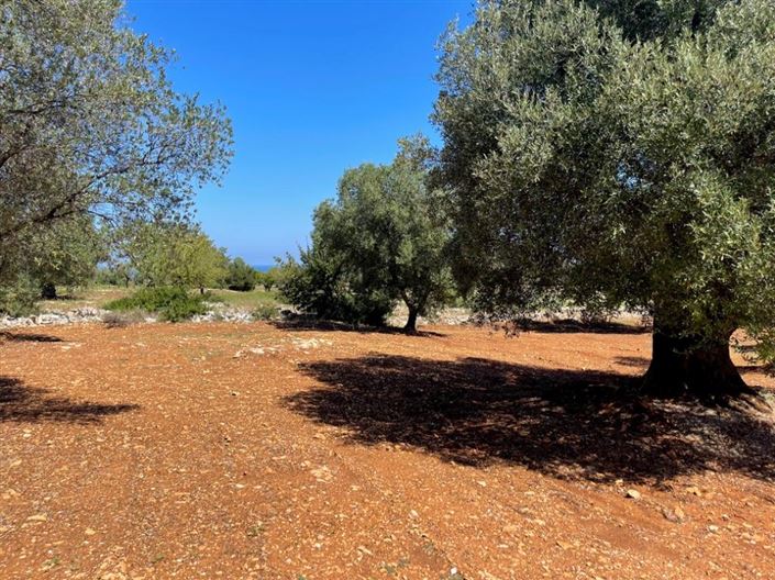 Image No.3-Propriété à vendre à Carovigno