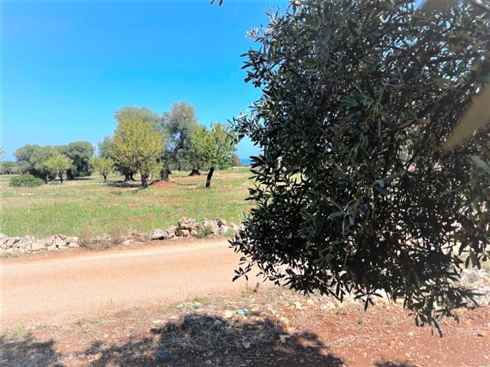 Image No.4-Propriété à vendre à Carovigno