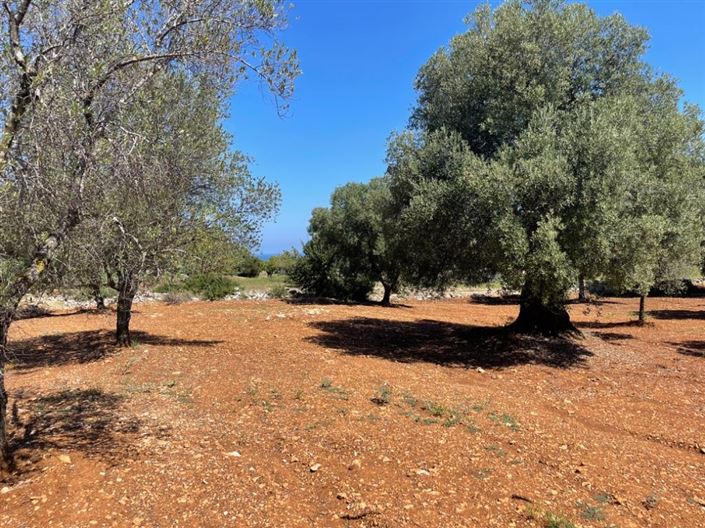 Image No.5-Propriété à vendre à Carovigno