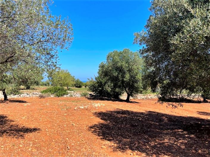 Image No.6-Propriété à vendre à Carovigno