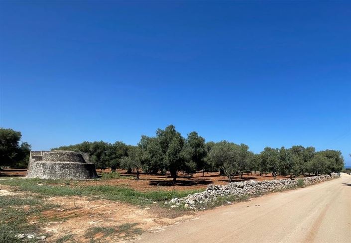 Image No.7-Propriété à vendre à Carovigno