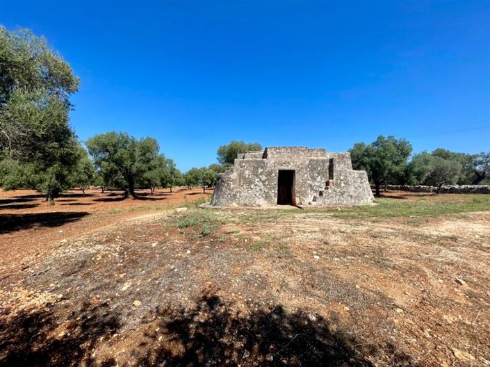 Image No.8-Propriété à vendre à Carovigno