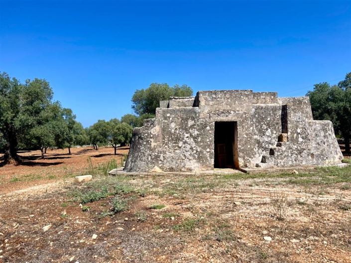 Image No.9-Propriété à vendre à Carovigno