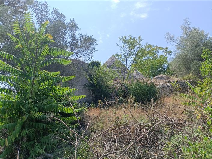 Image No.11-Propriété de 2 chambres à vendre à Ceglie Messapica