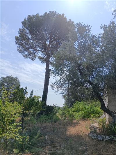 Image No.12-Propriété de 2 chambres à vendre à Ceglie Messapica