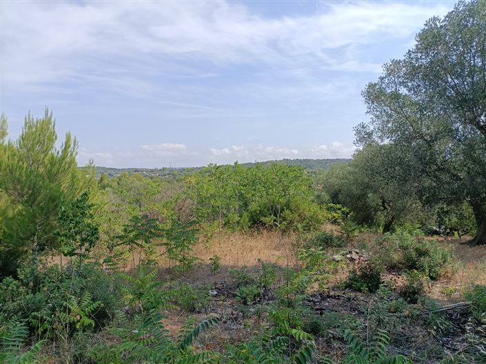 Image No.13-Propriété de 2 chambres à vendre à Ceglie Messapica