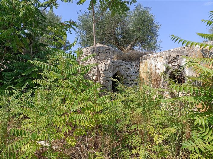 Image No.3-Propriété de 2 chambres à vendre à Ceglie Messapica