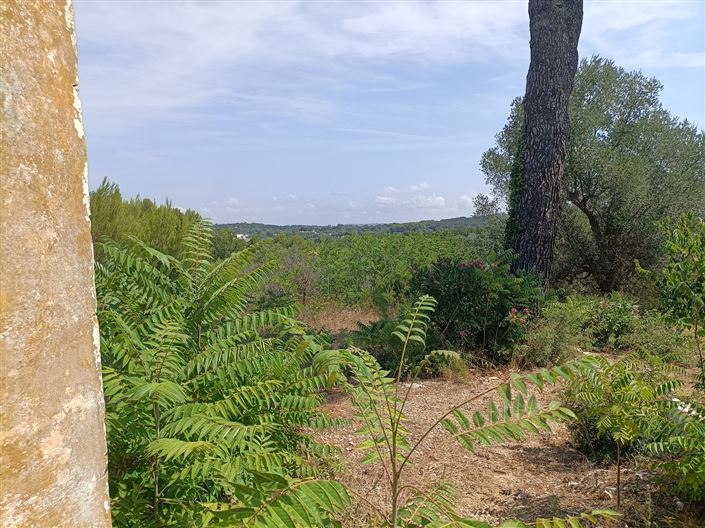 Image No.25-Propriété de 2 chambres à vendre à Ceglie Messapica