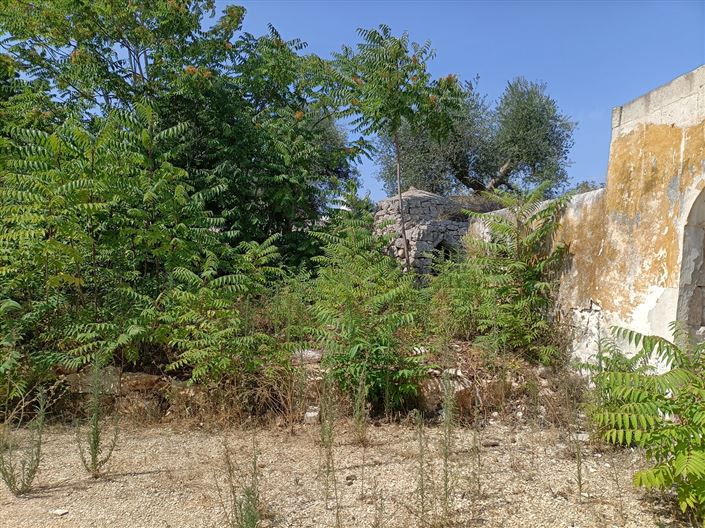 Image No.26-Propriété de 2 chambres à vendre à Ceglie Messapica