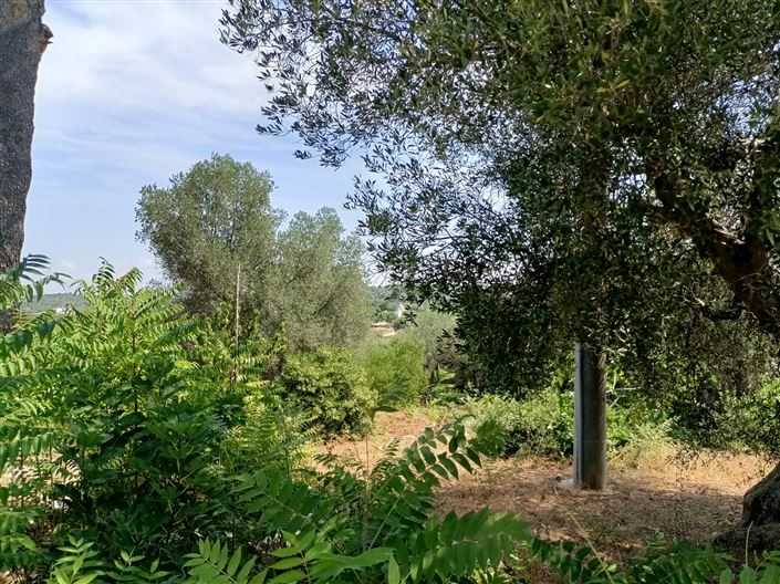 Image No.27-Propriété de 2 chambres à vendre à Ceglie Messapica