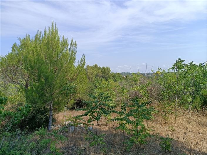 Image No.29-Propriété de 2 chambres à vendre à Ceglie Messapica