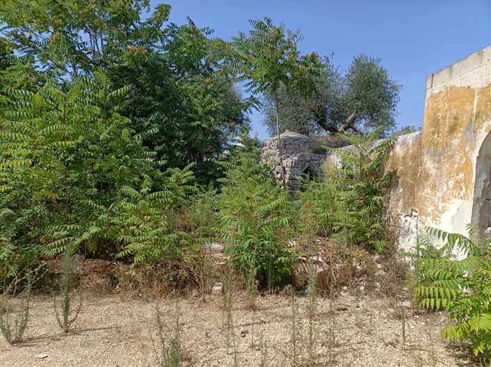 Image No.4-Propriété de 2 chambres à vendre à Ceglie Messapica