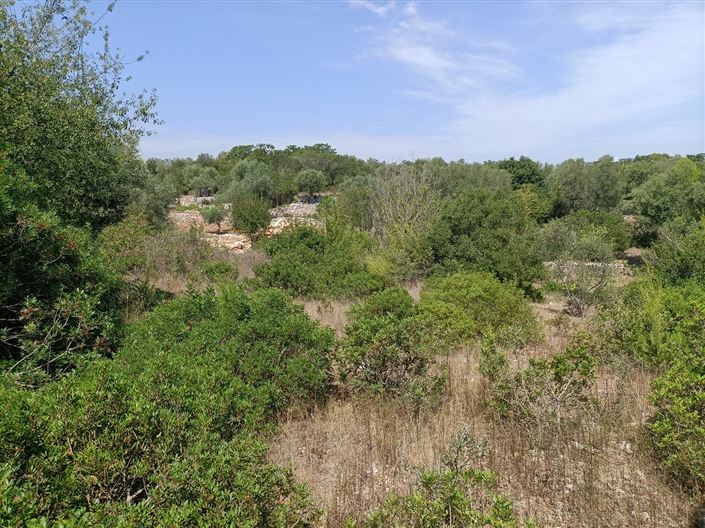 Image No.33-Propriété de 2 chambres à vendre à Ceglie Messapica