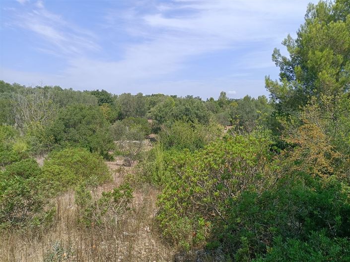 Image No.34-Propriété de 2 chambres à vendre à Ceglie Messapica