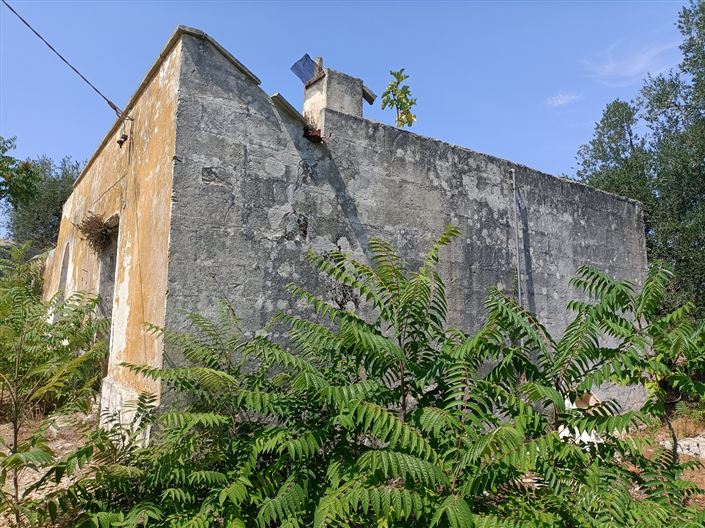 Image No.5-Propriété de 2 chambres à vendre à Ceglie Messapica