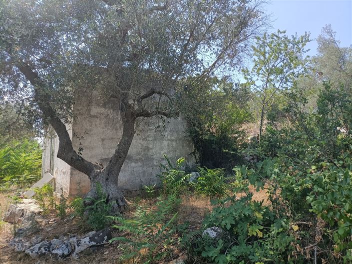 Image No.8-Propriété de 2 chambres à vendre à Ceglie Messapica