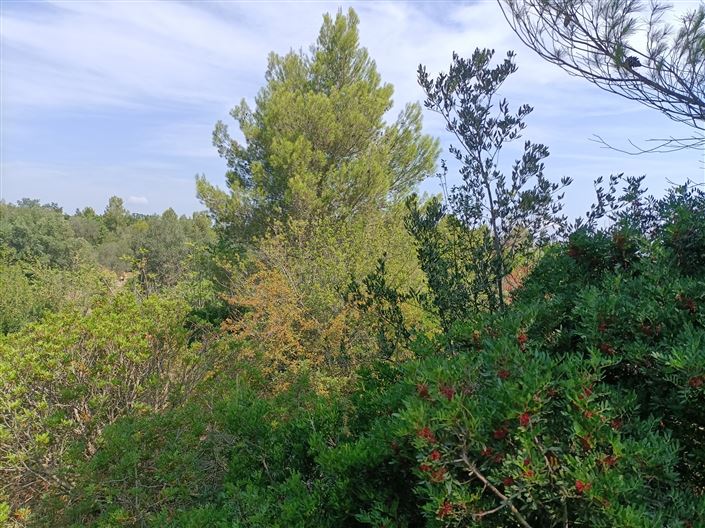 Image No.10-Propriété de 2 chambres à vendre à Ceglie Messapica