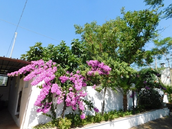 Image No.16-Villa de 3 chambres à vendre à Ceglie Messapica