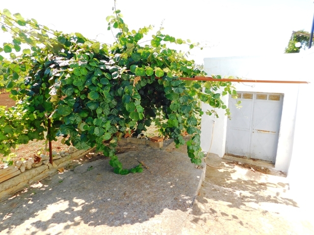 Image No.18-Villa de 3 chambres à vendre à Ceglie Messapica