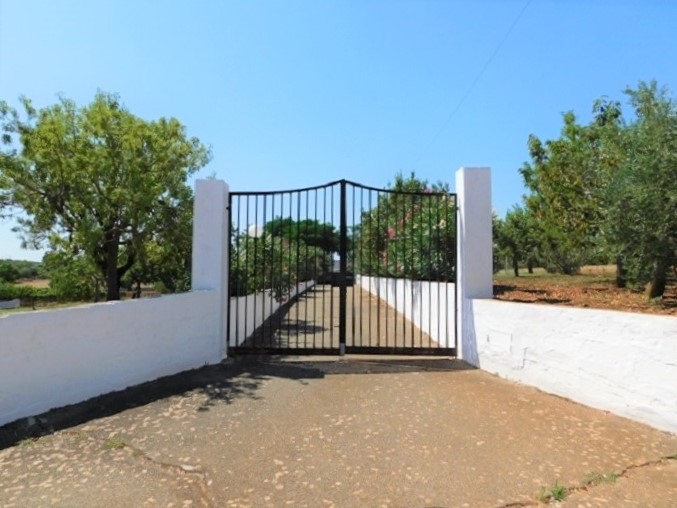 Image No.19-Villa de 3 chambres à vendre à Ceglie Messapica