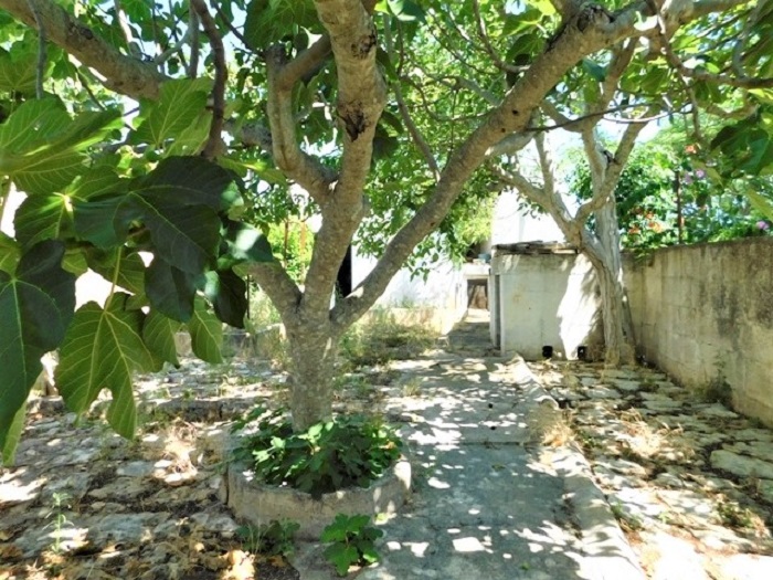 Image No.26-Villa de 3 chambres à vendre à Ceglie Messapica