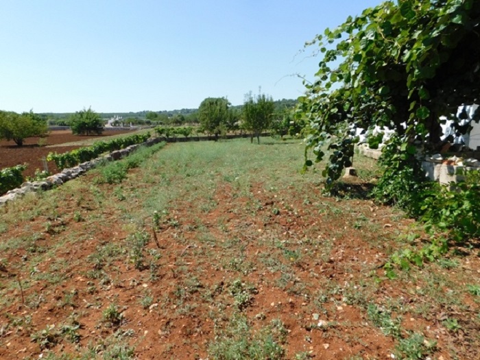 Image No.31-Villa de 3 chambres à vendre à Ceglie Messapica