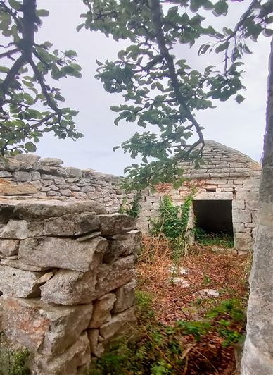 Image No.15-Propriété de 3 chambres à vendre à Cisternino