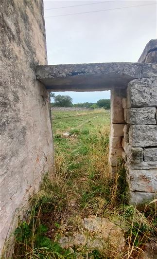 Image No.16-Propriété de 3 chambres à vendre à Cisternino