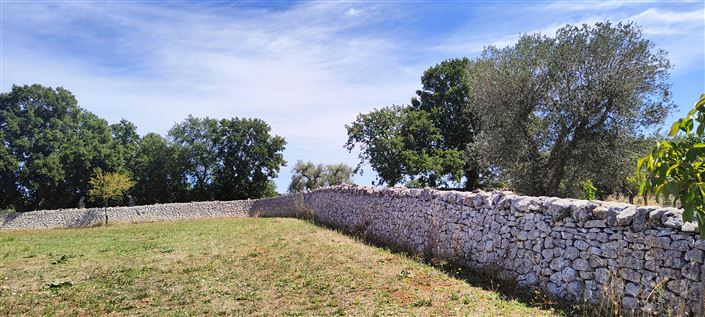 Image No.5-Propriété de 3 chambres à vendre à Cisternino