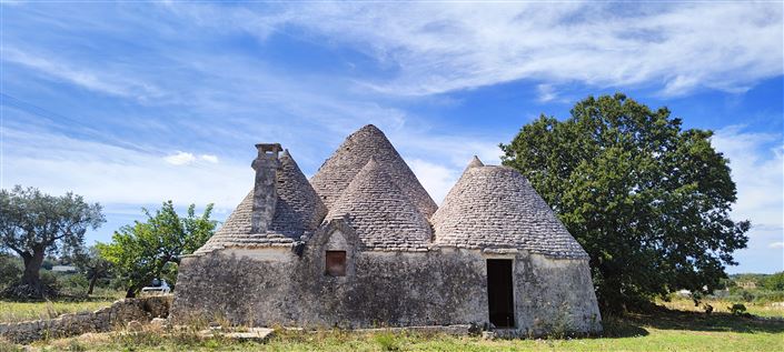 Image No.6-Propriété de 3 chambres à vendre à Cisternino