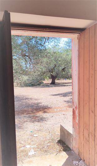 Image No.18-Propriété de 2 chambres à vendre à San Vito dei Normanni