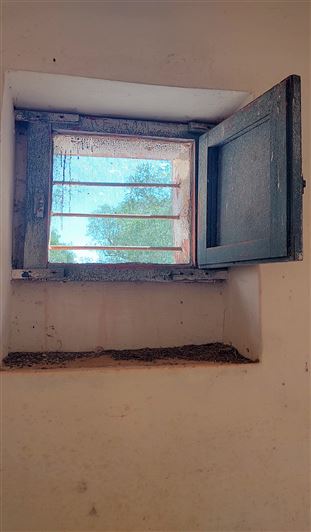 Image No.19-Propriété de 2 chambres à vendre à San Vito dei Normanni