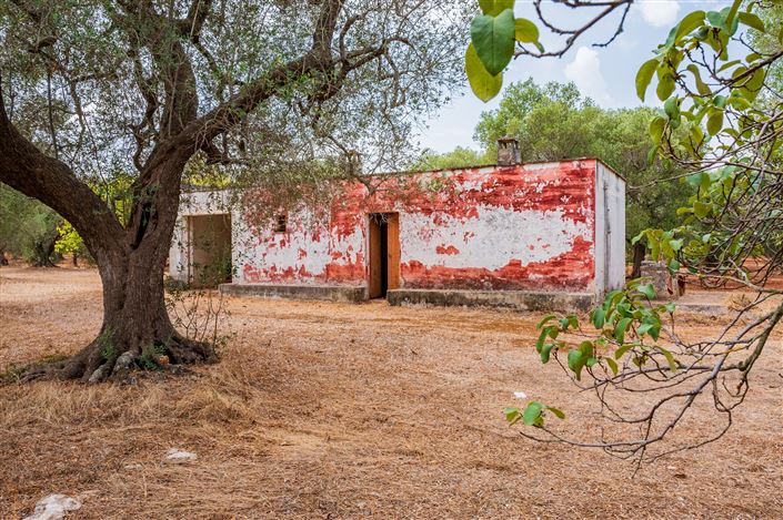 Image No.3-Propriété de 2 chambres à vendre à San Vito dei Normanni