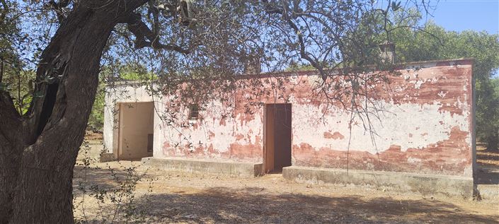 Image No.26-Propriété de 2 chambres à vendre à San Vito dei Normanni