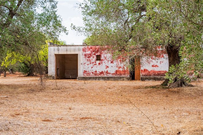 Image No.27-Propriété de 2 chambres à vendre à San Vito dei Normanni