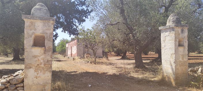 Image No.4-Propriété de 2 chambres à vendre à San Vito dei Normanni