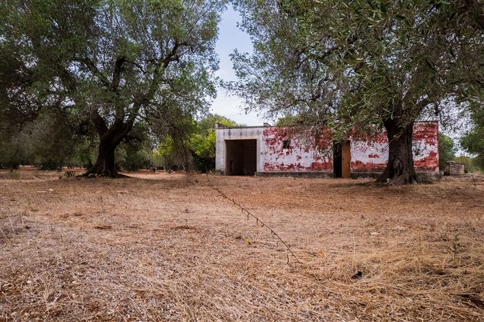 Image No.31-Propriété de 2 chambres à vendre à San Vito dei Normanni
