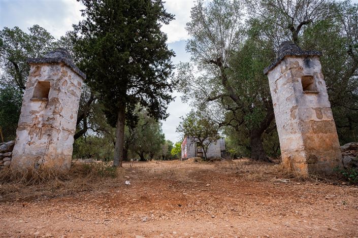 Image No.32-Propriété de 2 chambres à vendre à San Vito dei Normanni