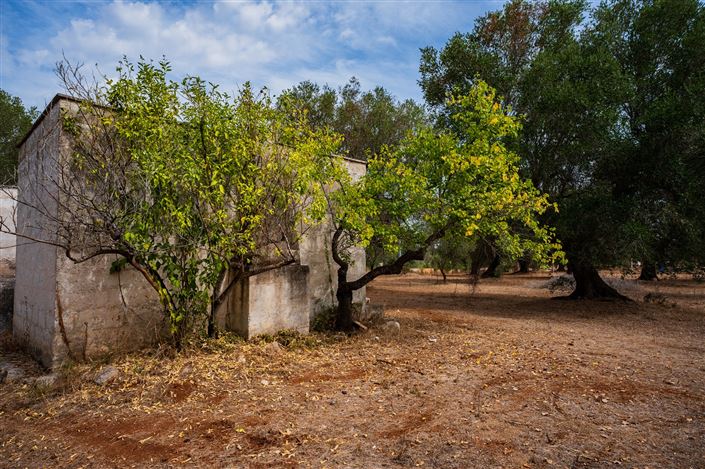 Image No.33-Propriété de 2 chambres à vendre à San Vito dei Normanni
