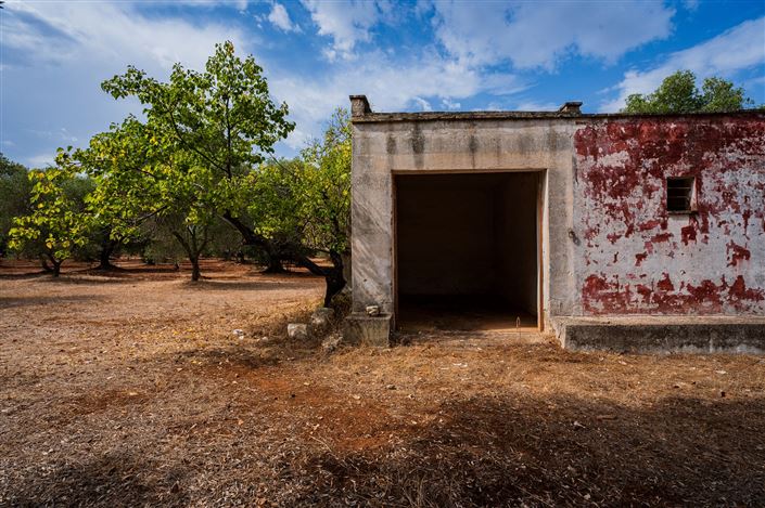 Image No.34-Propriété de 2 chambres à vendre à San Vito dei Normanni