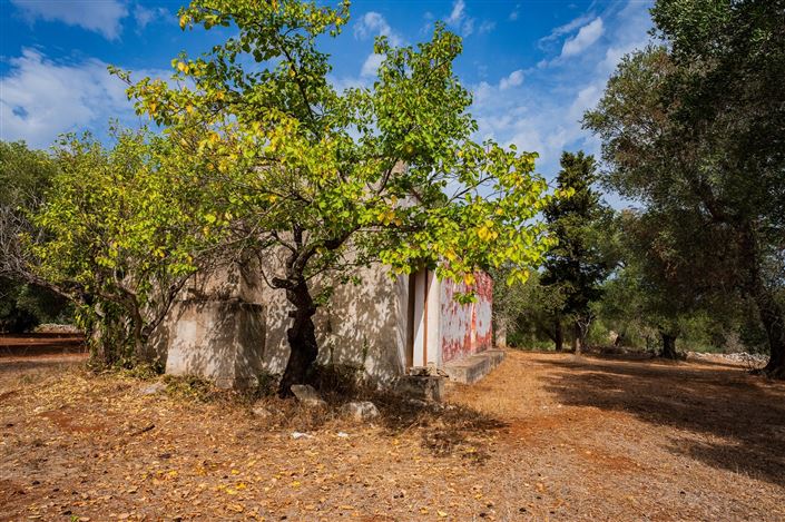 Image No.35-Propriété de 2 chambres à vendre à San Vito dei Normanni