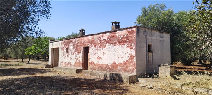 Image No.5-Propriété de 2 chambres à vendre à San Vito dei Normanni