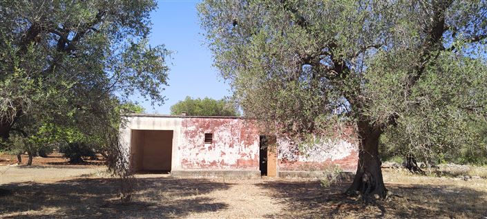 Image No.6-Propriété de 2 chambres à vendre à San Vito dei Normanni