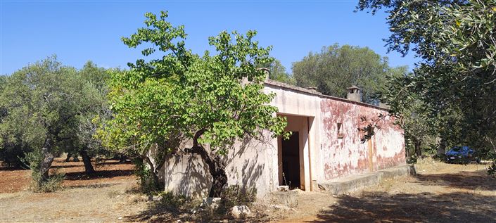 Image No.7-Propriété de 2 chambres à vendre à San Vito dei Normanni