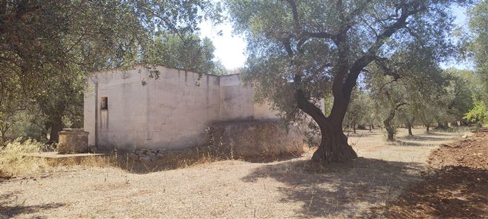 Image No.10-Propriété de 2 chambres à vendre à San Vito dei Normanni