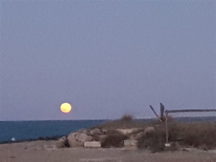 Image No.32-Villa de 6 chambres à vendre à Torre Santa Susanna